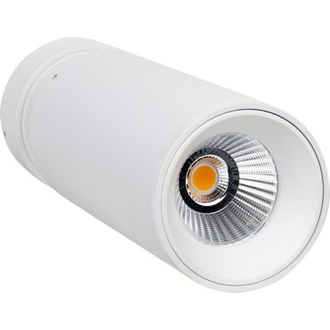 Doppel-LED-Projektor (mittelgroß), 20 W, 1500 lm, verstellbar, Ø 6,5 x 19,8 cm, 3000 K Weiß, 30000 h, SECOM