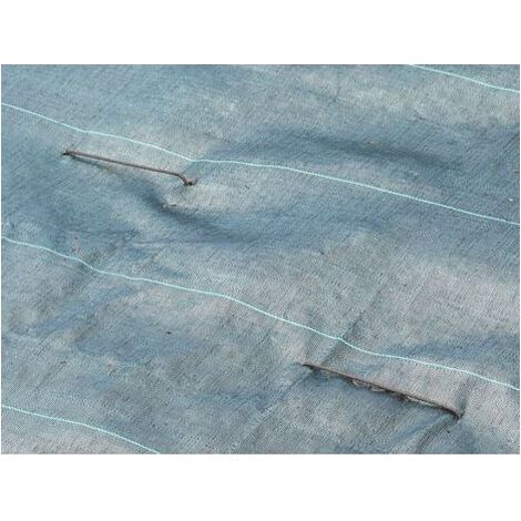 Agrafes pour toile de paillage Lot de 100 pièces Acier