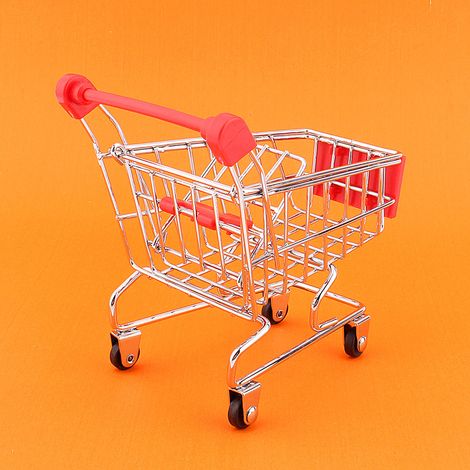 [Mini-Supermarktkorb] Einkaufswagen aus Metall und Kunststoff, 12 cm, Papageien-Spielzeug, Heimdeko, Geschenkidee, Lernspielzeug, Puzzle, 1 Stück (1/5)