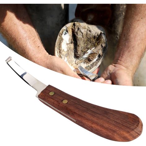 Couteau à parer les sabots à lame étroite spécial élevage, couteau à parer les sabots des bovins, outil de parage des sabots des chevaux, couteau à parer les sabots, lame unique pour droitier (1/5)