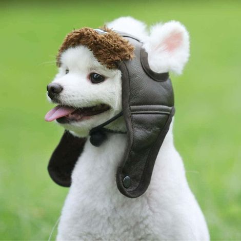 Filiyano-Casquette aviateur pour chien (Taille M, tour de tête 37 cm) - Accessoires pour animaux - Chapeaux pour chiens - Automne/Hiver (1/4)