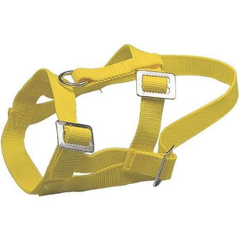 Suporte superior KERBL VV2700
