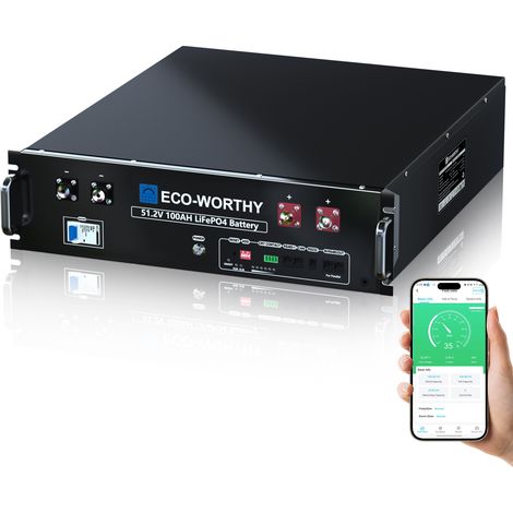 ECO-WORTHY LiFePO4 48V (51.2V) 100Ah Bluetooth, 5.12KWh Lithium Battery with 100A BMS, Solar Server Rack Battery for Complete Solar System Set, Photovoltaic System
