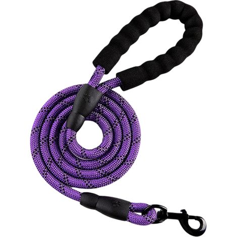Laisse Chien - 5 M - Poignée Néoprène Rembourrée - Crochets Acier Antirouille - Corde Nylon Résistante - Pour Dressage et Attache Extérieure - 1 Pièce (1/5)