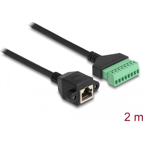 Delock Cable RJ45 Cat.6 hembra a adaptador de bloque de terminales para empotrar 2 m 2 piezas