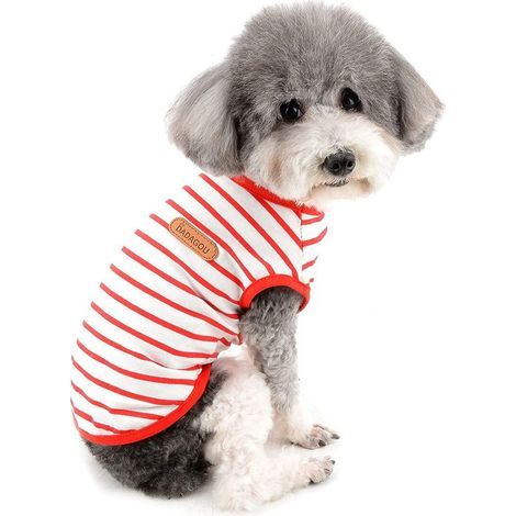 T-shirt d'été pour petits chiens, rayé, respirant, taille M. (1/5)
