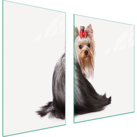 PLATO DE VIDRIO Y TABLA DE CORTAR 100x52 PERRO (1/5)