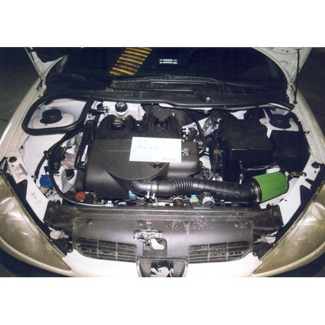Kit d Admission direct GREEN pour Peugeot 206 98-06 1.9L D-69cv-40912894