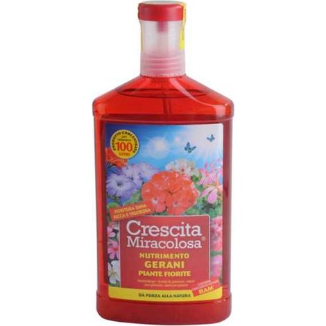 Crecimiento milagroso de geranios con el producto de 750 ml