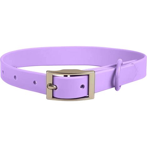 Ensemble Collier Et Laisse Pour Chien - Polyester Imperméable Avec Fermoir En Laiton - Pour Dressage Et Promenade Quotidienne - Lot De 1 (1/5)