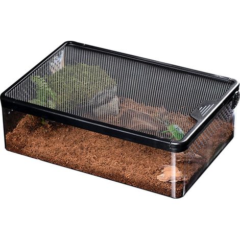 Behälter Luftstrom transparenter Habitat Koffer