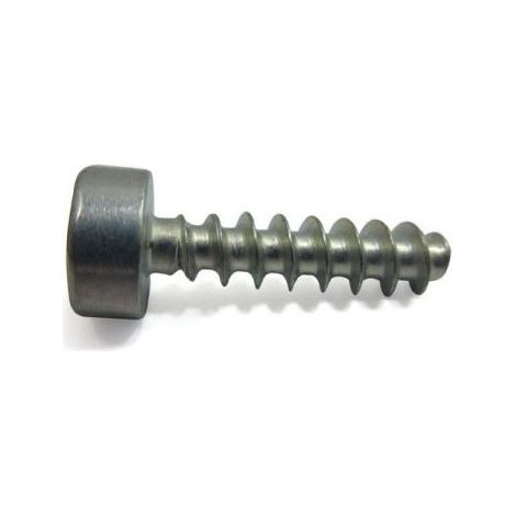 90744784135 - Vis cylindrique pour Tronçonneuse STIHL (1/2)