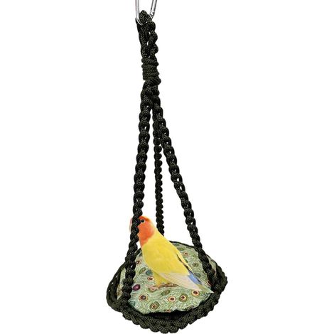Hamac pour Dragon Barbu Confortable Chaise Longue pour Reptile  Lit pour Gecko Hamac pour Furet pour Terrarium Idéal Lézarder Grimper et se Reposer Adapté aux Serpents Caméléons Iguanes (1/5)