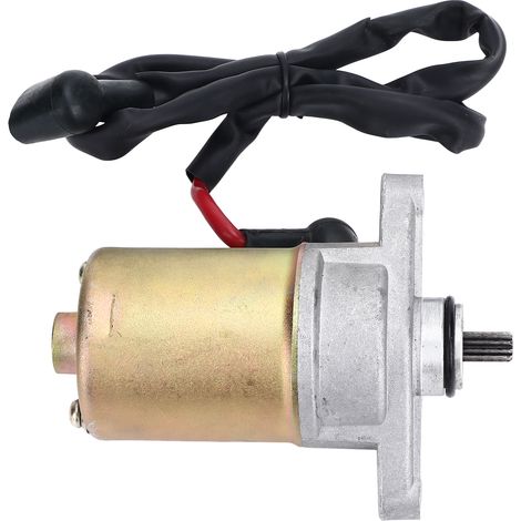 GY6 50cc Anlasser mit Elektrokabel für 4-Takt-Motor 139QMB (1/5)