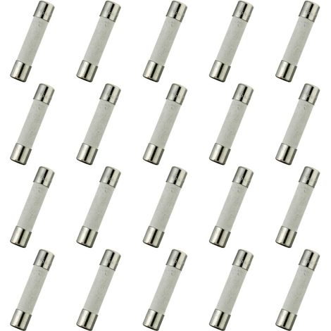 T15AL250V 20 pièces 6x30 mm 0.24 x 1.18 pouces fusible à tube en céramique à fusion lente 15A 250V (1/4)