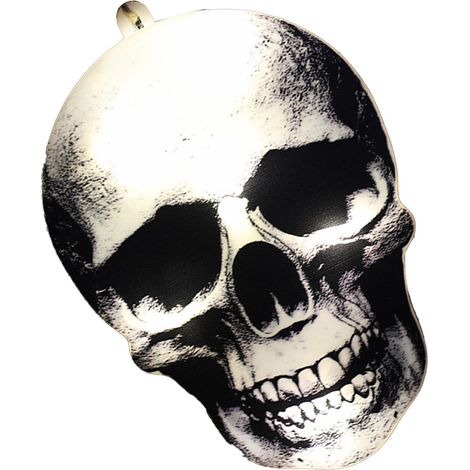 Guirlande lumineuse LED en forme de crâne, rechargeable sur batterie, longue durée, idéale pour Halloween, festivals et fêtes (motif crâne en B).