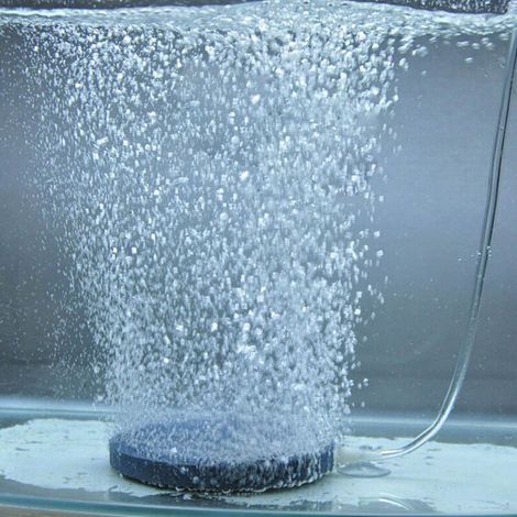 Pierre à bulles 4 cm en pierre minérale grise pour aquarium – diffuseur d’oxygène compatible hydroponie
