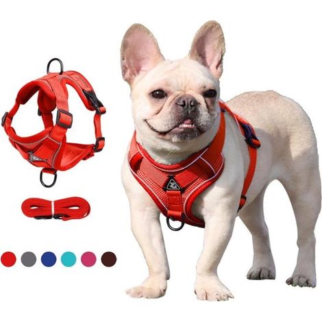 Harnais réglable pour animaux de compagnie - Anneau de stabilisation triangulaire - 2 clips de laisse - Gilet rembourré - Anti-étranglement (1/5)
