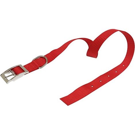CROCI Collare Nylon 10x330 mm rosso
