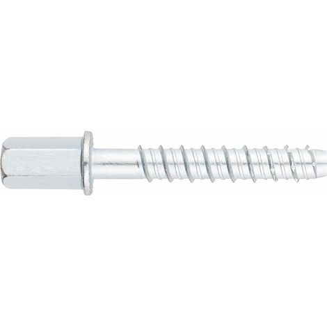 Boite de 50 - Vis a béton - Tête filetage femelle - Recouvrement zingué - Homologué ETE Option 2 Ø8 x 50 (M10)