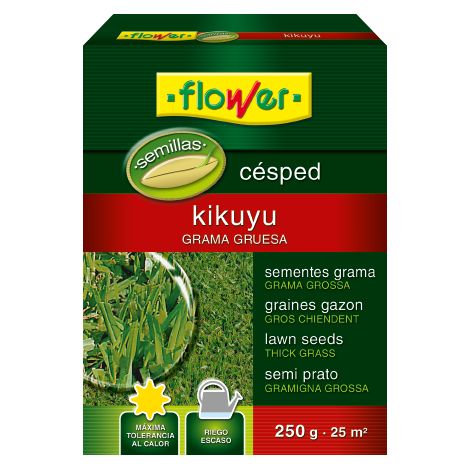 Graine Kikuyu pour gazon – 250 gr – Haute tolérance à la chaleur et à la sécheresse – Faible entretien – Flower (1/3)