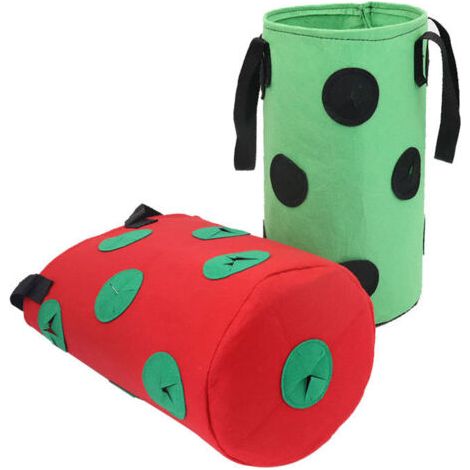 APEX - Sac De Plantation Fraises,2 Pièces Sac Culture Fraises,Sacs de Plantation de Jardin,Sac de Culture de Fraises en Non Tissé, Sac à Fraisiers,pour Fraises, Herbes, Fleurs (3Gallon, 20x35CM) (1/5)