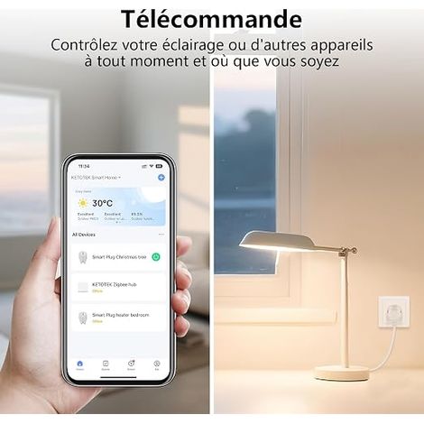 WiFi Connected Plug, Sockets, Programmable Socket Consumption Tracking, Voice Control (1/4)