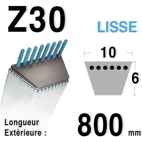 Courroie pour moteur thermique 803 mm – Largeur 10 mm – Épaisseur 6 mm – Compatible tondeuses et motobineuses – Z30 (1/4)
