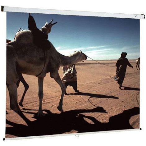 Ecran de projection mural manuel Oray 150 x 150 (1/3)