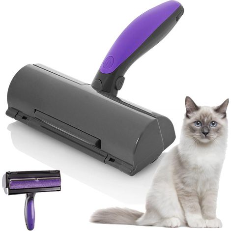 Épilateur pour poils de chien/chat avec lumière LED gris (1/5)
