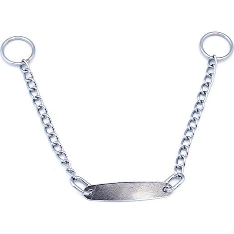 Collier étrangleur pour chien avec chaîne en métal et étiquette d'identification pour le dressage des petits, moyens et grands animaux de compagnie (1,6 mm x 30 cm) (1/5)