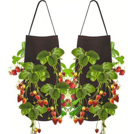 Stück Pflanzbeutel für Erdbeeren, Kartoffeln und Gemüse mit Sichtfenster und Griff für Erdbeeren, Tomaten und anderes Gemüse (1/5)
