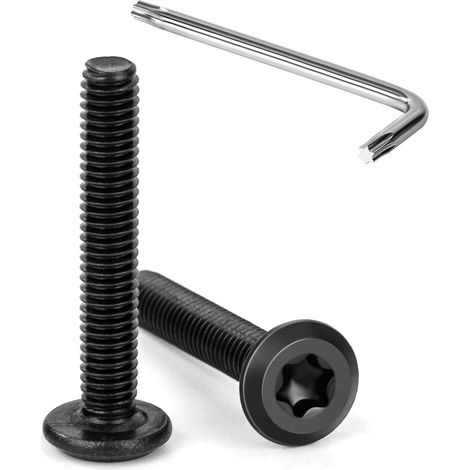 20 Pièces Vis à Tête Plate Torx Noir M4 x 25 mm Vis à Six Pans Creux en Acier Inoxydable A2 V2A Boulons de Meubles Hexagonale avec Clé T20 Filetage Complet (1/5)