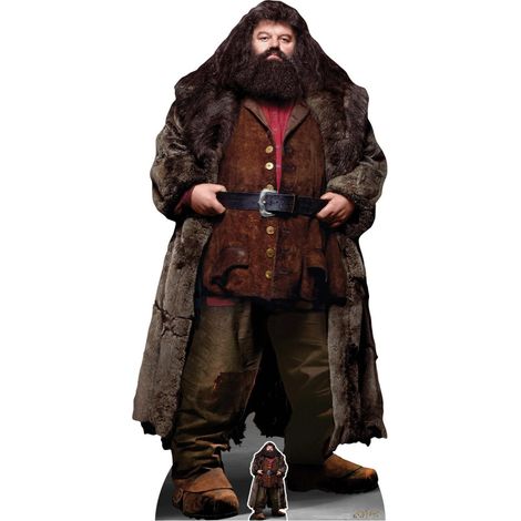 Figurine en carton Rubeus Hagrid Film Harry Potter 197 CM (1/5)