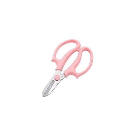 Ciseaux de fleuriste , outils de jardinage Coupe - tiges de fleur lame de coupe petit Coupe - branches en acier inoxydable ciseaux pour jardinage (Rose) (1/5)