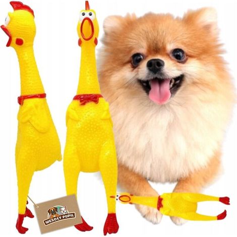 Un jouet en caoutchouc couineur en forme de poulet pour chiens, de 16 cm de long. (1/5)