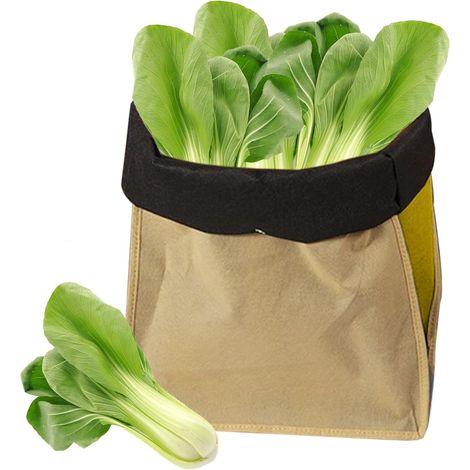 Reusable Bags for Fruits and Vegetables, Keeping Produce Fresh