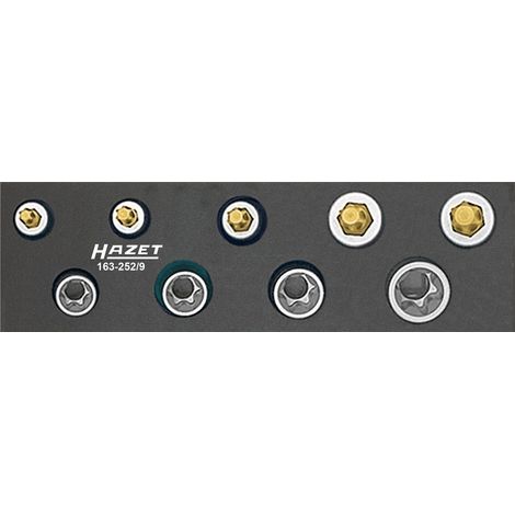 HAZET Werkzeug-Satz, TX 163-252/9 Vierkant hohl 10 mm (3/8 Zoll) Außen TX Profil, Innen TX Profil E 8 - E 14 T 25 - T 50 Anzahl Werkzeuge: 9 (1/5)