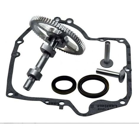 Briggs & Stratton Arbre à cames 793880 793583 792681 791942 795102 Kit de remplacement de came avec joint d'huile 795387 et joints (1/4)