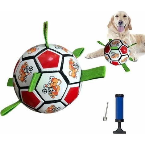 Jouet pour chien - Balle indestructible - Interactif - Flottant - Durable (1/4)