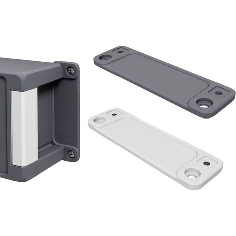 Bopla BA WL 17 7024 00500304 Patte de fixation murale (L x l x H) 173 x 40 x 8 mm aluminium gris gra