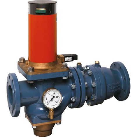 Rohrtrenner R295SP-F EA2 Flansch GG plvb blau FA DN 100 (1/3)