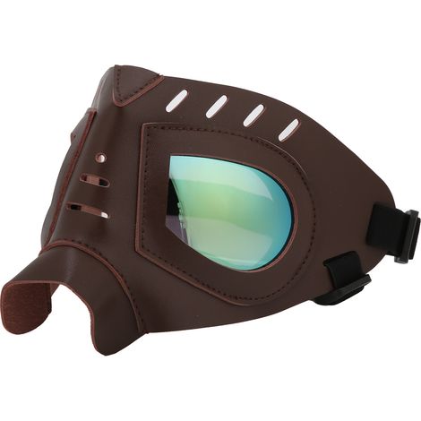 Lunettes de protection pour animaux de compagnie, anti-éblouissement et protection UV, accessoire de mode pour chiens et chiots (1/5)