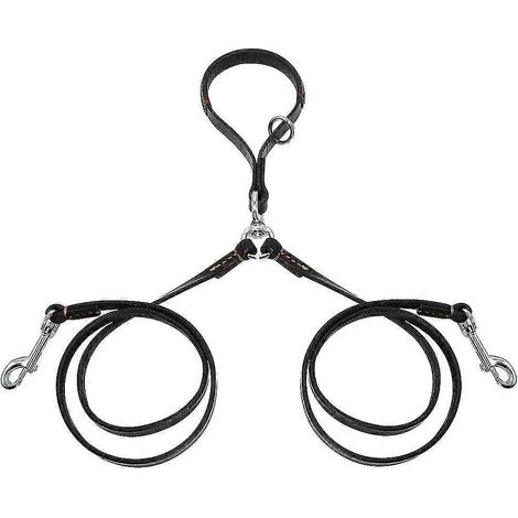 Laisse double pour chien, deux laisses en cuir pour animaux de compagnie, avec système anti-nœuds et poignée, idéale pour les promenades et le dressage. Deux petites laisses. (1/5)