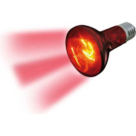 Lampe flamingo infrared lamp 100W Infrarot energieeffizient einfache Installation (1/2)