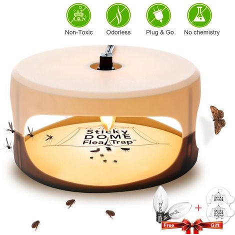 Lampe anti-puces électrique collante ronde, piège à mouches non toxique pour la maison (1/5)