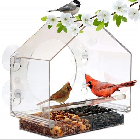 Mangeoires à fenêtre, Transparent Exterieur Mangeoire Oiseaux Plastique PC(201319cm) avec Ventouse + Plateau déplacé avec des Trous de Drainage Applicable à l'extérieur, Jardin (1/5)