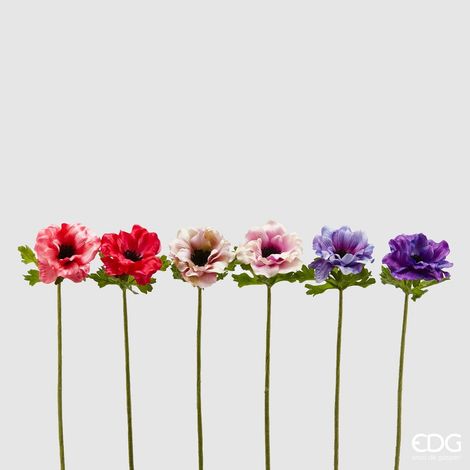 EDG Anemone Rex H40 Rosa