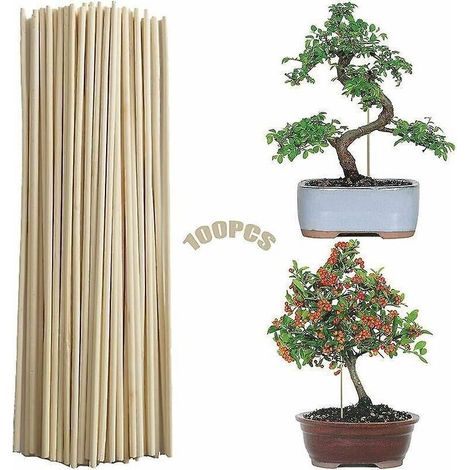 100 Pieces Canne De Bambou (3mmx20cm) Jardin De Canne Piquet De Jardin Baton De Bambou Support De Plante De Btons Support Vgtal De Bricolage Btons (1/5)