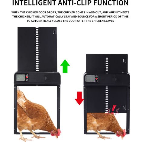 Porta automatica per pollaio, porta automatica per pollaio con timer e manuale, porta anti-intrappolamento per pollaio con display LED impermeabile IP45 (1/4)